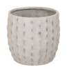 macetero decorativo cactus beige grande