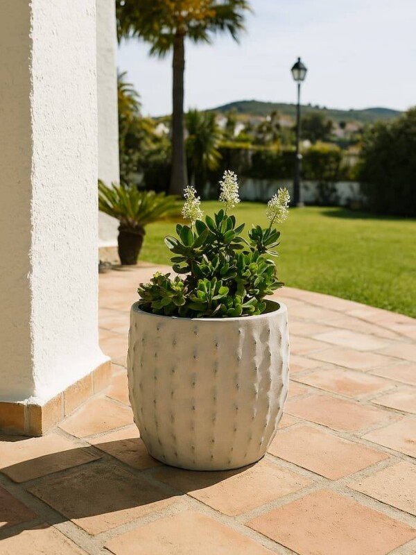 macetero decorativo pequeño